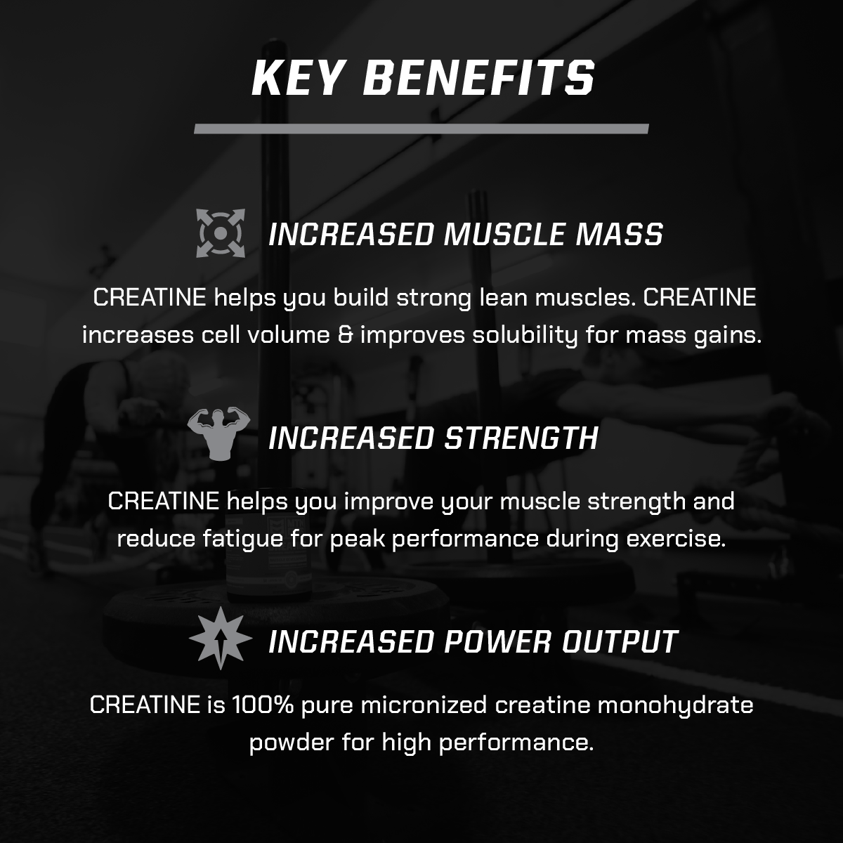 CREATINE MONOHYDRATE 2 CREATINE MONOHYDRATE