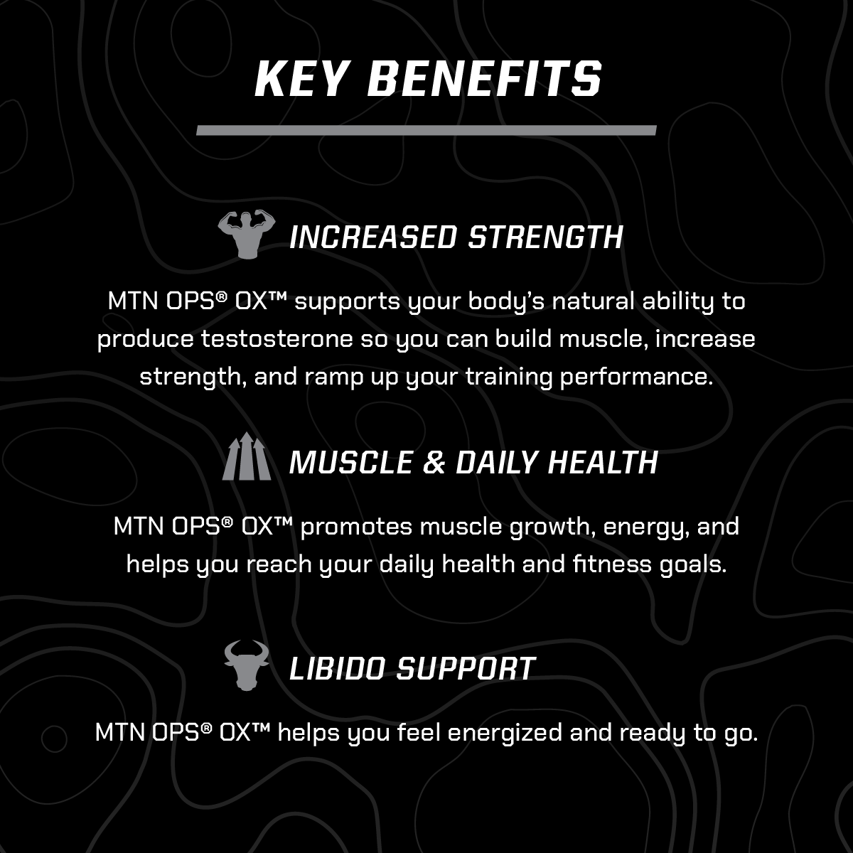 OX - Testosterone Boost 2 OX - Testosterone Boost