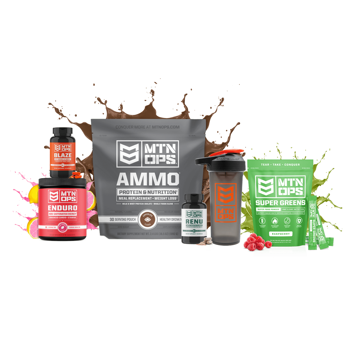WEIGHT-LOSS SYSTEM 1 WEIGHT-LOSS SYSTEM