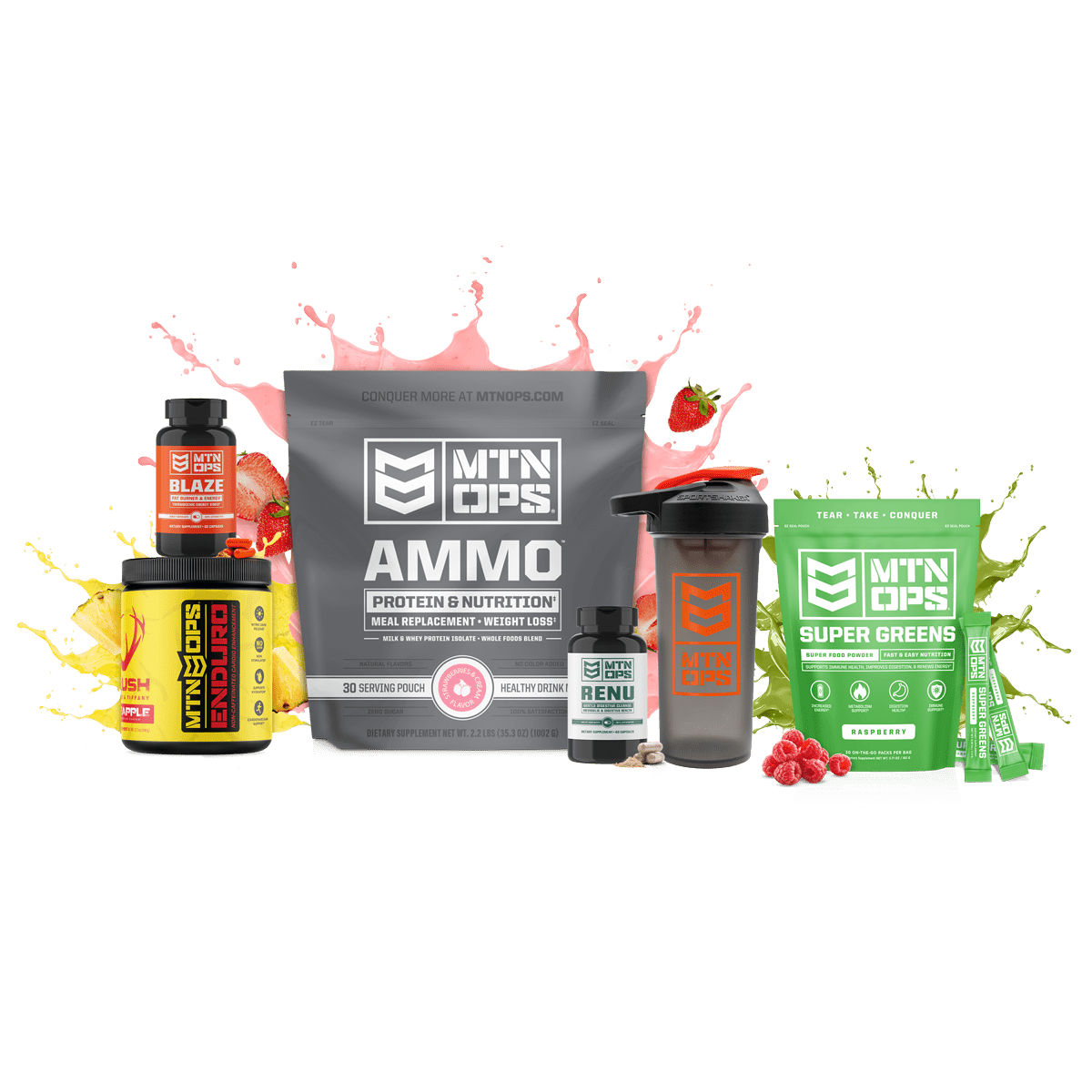 WEIGHT-LOSS SYSTEM 3 WEIGHT-LOSS SYSTEM