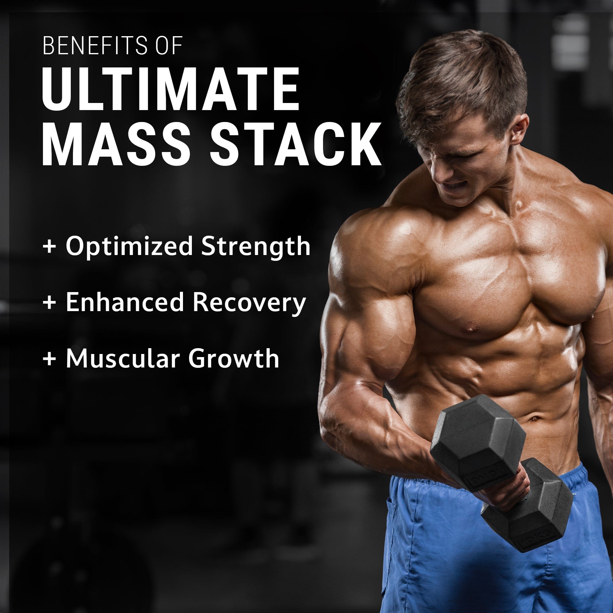 ULTIMATE MASS STACK 2 ULTIMATE MASS STACK