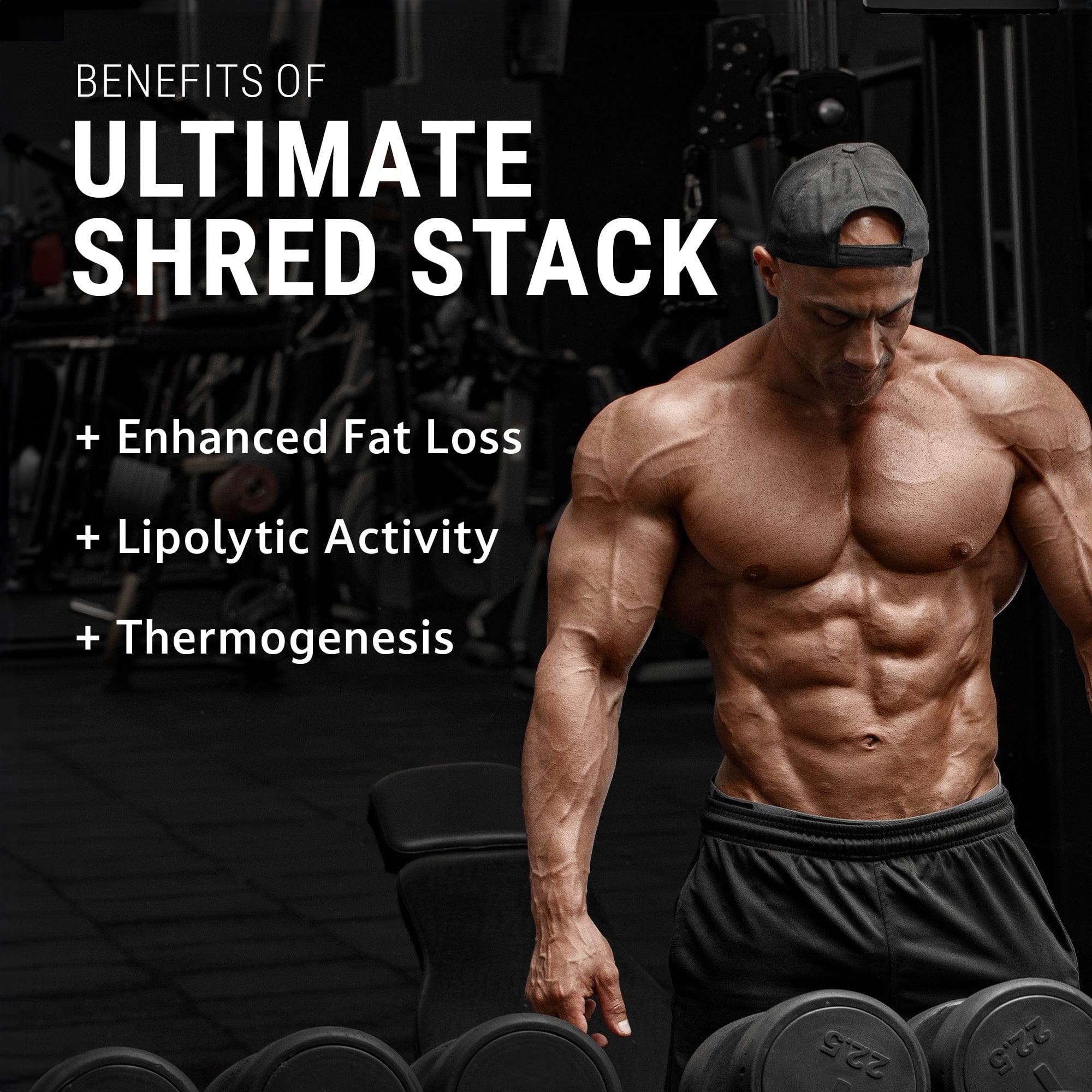 Ultimate Shred Stack 2 Ultimate Shred Stack