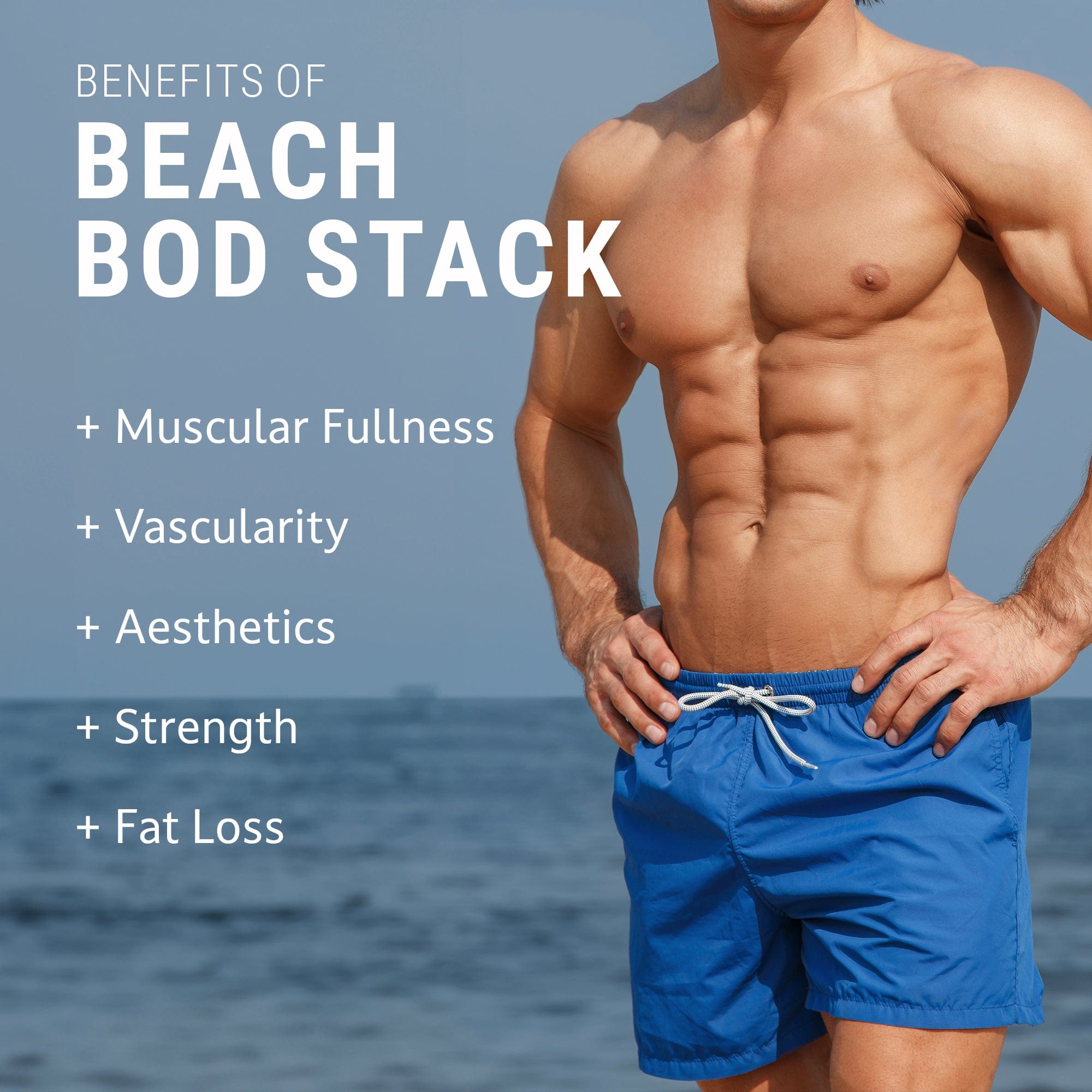 Beach Bod Stack 7 Beach Bod Stack