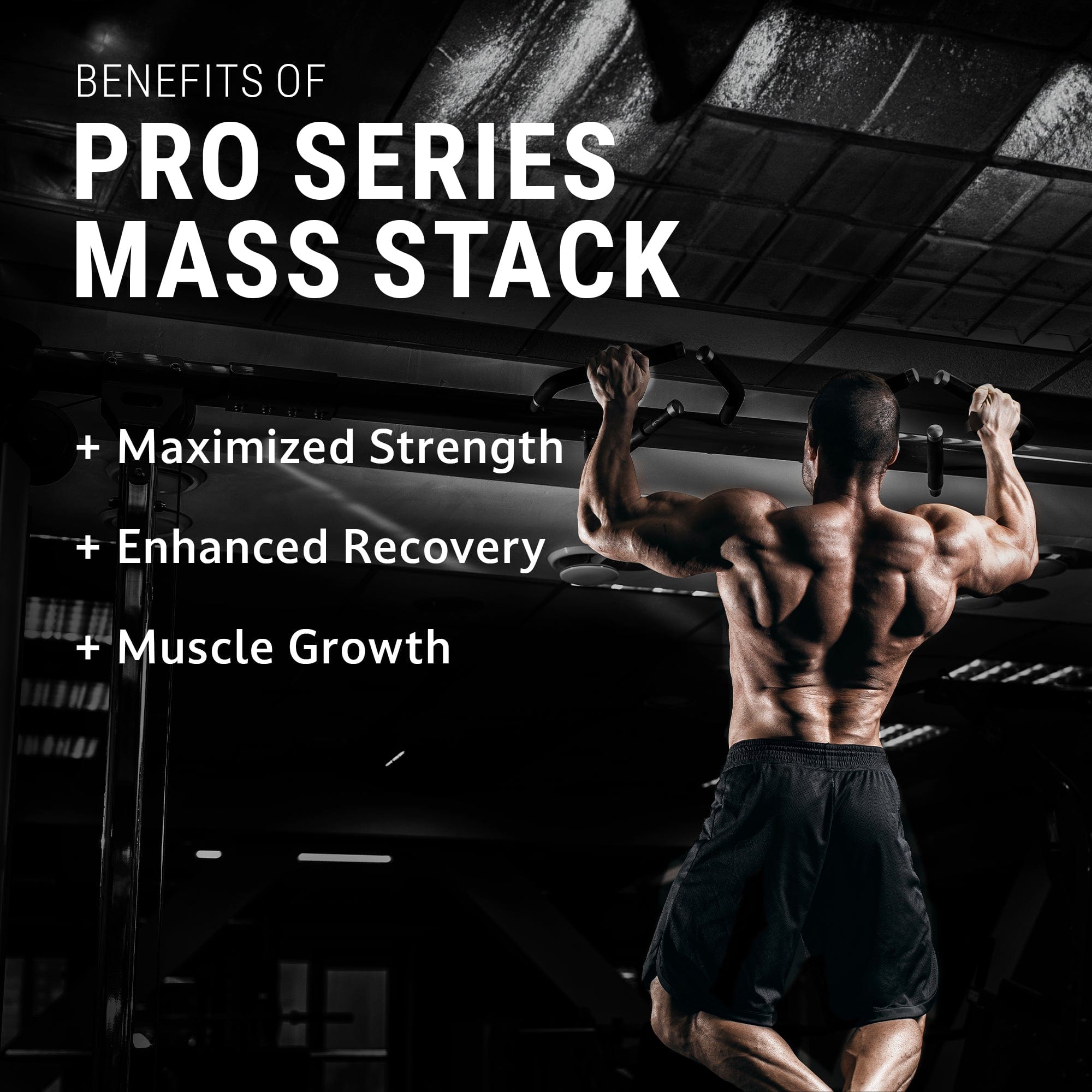 Pro Series Mass Stack 2 Pro Series Mass Stack