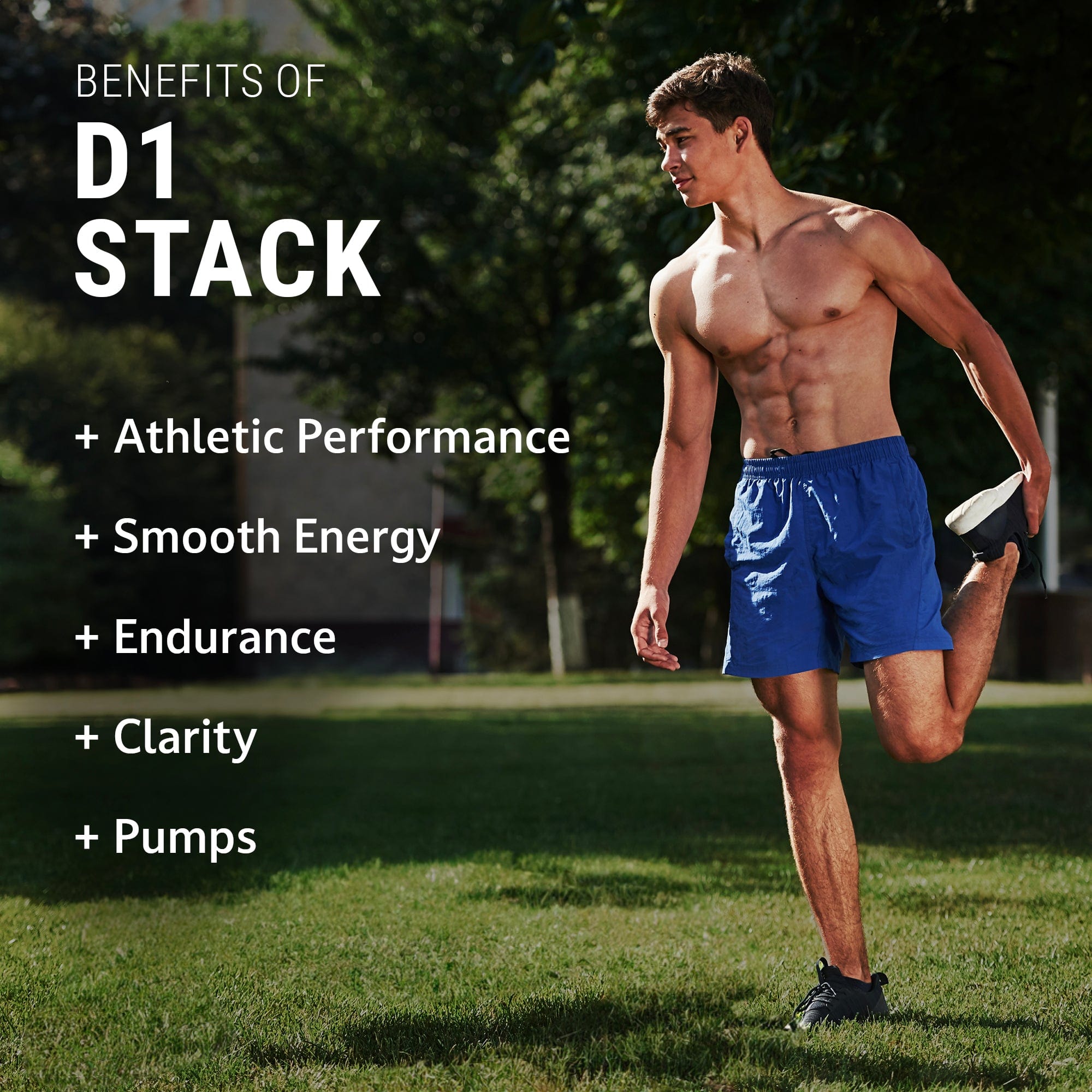 D1 Stack 2 D1 Stack